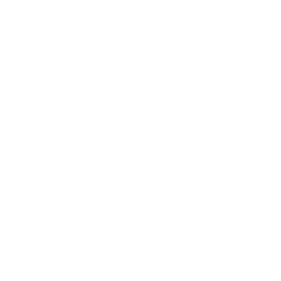 Custom Reports Technology